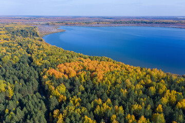 Aerial photo of a surface of the lake surrounded by colorful forest in autumn.