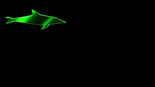 Animals 027