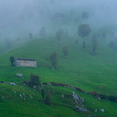 Cabañas Pasiegas and meadows, Miera Valley, Valles Pasiegos, Cantabria, Spain, Europe