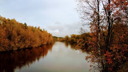 autumn trees reflected in water