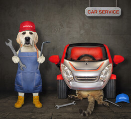 A dog with wrenches and a cat auto mechanic are fixing car in a garage.