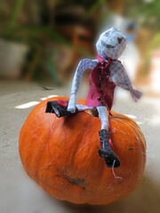 halloween cute scarecrow on a pumpkin
