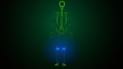 3d rendered anatomy illustration of a human knee
