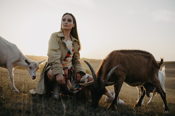 Shepherdess sits in a pasture among goats at sunset.