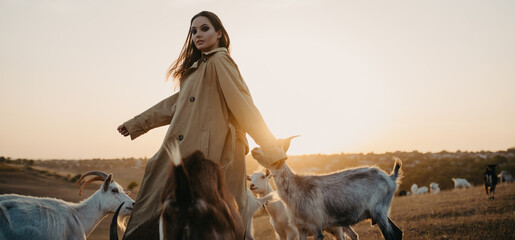 Shepherdess walks in a pasture among goats at sunset.