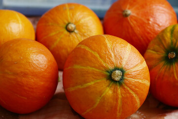 small pumpkin still life halloween closeup photo