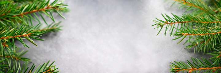 Christmas green background with a Christmas tree festive tree. Minimalism. Place for text. Banner. Merry Christmas. Copy space