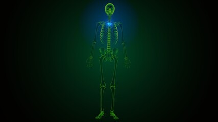 3d render of human skeleton thoracic vertebrae bone anatomy
