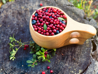 Fresh red lingonberries in a wooden mug on a stump in the forest. Delicious and healthy food...