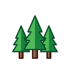 Pine trees