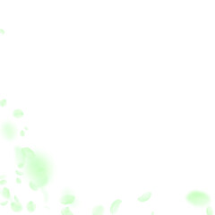 Green flower petals falling down. Fair romantic fl