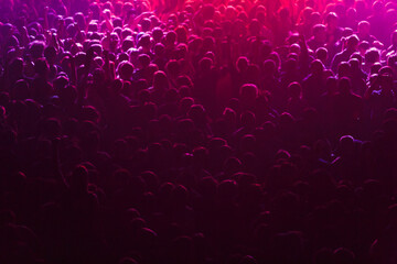 crowd at the concert