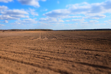 A plowed agricultural field. Blue sky over a farm field.