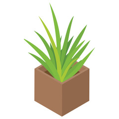 
Potted plant isometric icon 
