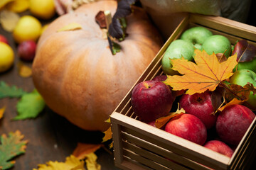 autumn still life in rustic style as a background - leaves, vegetables and fruits, nuts and other natural food ingredients on wooden boards