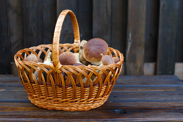 Edible mushrooms porcini in the wicker basket on wooden background