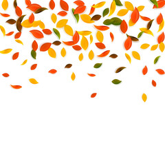 Falling autumn leaves. Red, yellow, green, brown c