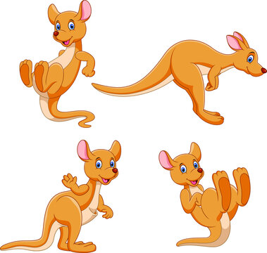 Illustration of cartoon kangaroo collection set