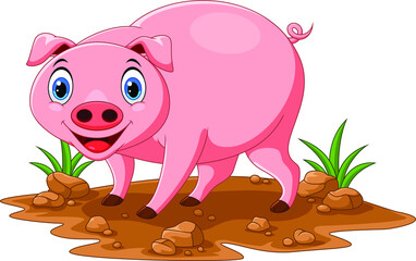 Illustration of cute pig cartoon
