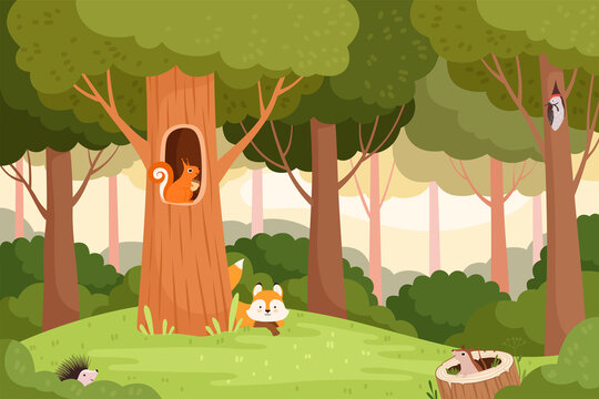 Forest landscape. Trees with holes for wild animals house in wooden trunk for birds squirrels fox vector cartoon background. Landscape forest with animal, outdoor wild scenery illustration