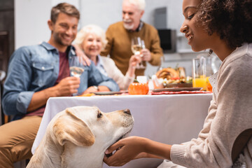 selective focus of african american girl stroking golden retriever while family celebrating thanksgiving day