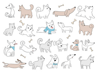 Dogs characters. Funny domestic animals playing puppy with toys friendly smile dogs vector pictures. Illustration domestic character dog, cute funny pet