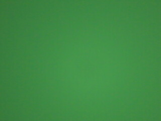 Beautiful background of green color close-up.