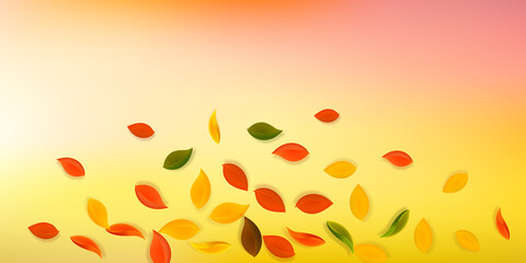 Falling autumn leaves. Red, yellow, green, brown n