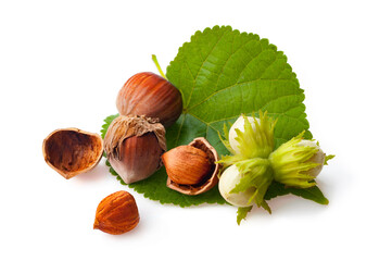 Nuts hazelnuts isolate on white.
