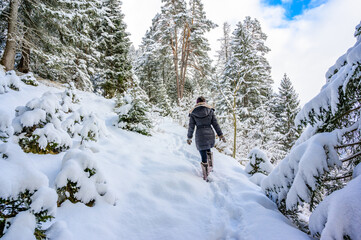 Fototapeta na wymiar Winter landscape scenery with a trail in pine forest - winter travel destination for recreation, Tirol, Austria.