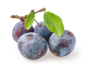 ripe plums with leaves