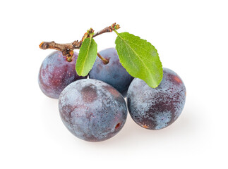 purple plums isolated on the white background