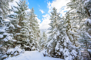 Beautiful winter landscape scenery in Tirol, Reutte, Austria