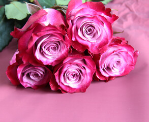Roses on a purple background. Bright flowers with space for text.