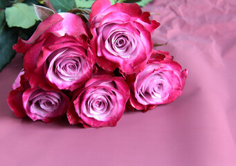 Roses on a purple background. Bright flowers with space for text.