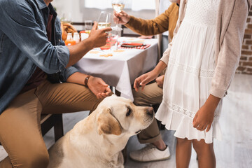 partial view of african American girl and golden retriever near family clinking wine glasses during thanksgiving dinner