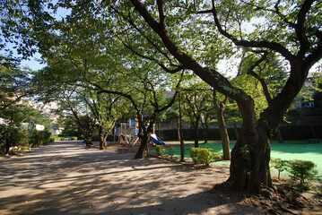 西経堂児童遊園（東京都世田谷区船橋3丁目）