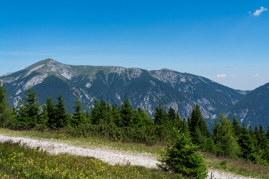 Blick von der Rax &uuml;ber einen Wanderweg und einen Nadelwald zum Schneeberg