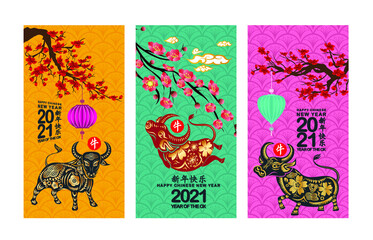 Chinese new year 2021. Year of the Ox with blossom background (Chinese translation Happy chinese new year 2021, year of ox)