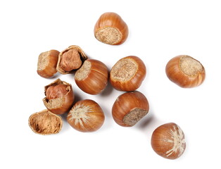 Hazelnut pile isolated on white background, top view