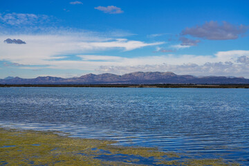 Santa Pola salt works and bird reserve Elche Alicante Spain