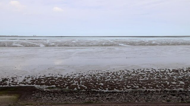 SALT MARSH AND MUDFLATS