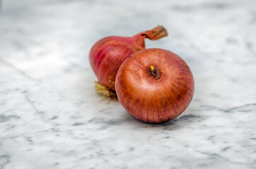 Closeup of two beautiful and round onions on a white marble table. Macro Shot