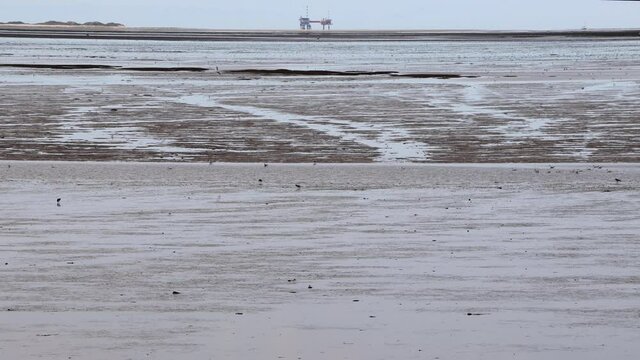 SALT MARSH AND MUDFLATS