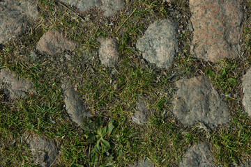 A close up of a rock with grass