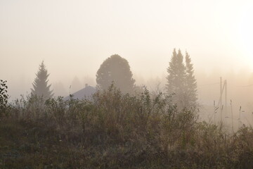 Fototapeta na wymiar morning fog in the mountains