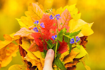 Autumn leaves and flowers bouquet close-up in a woman's hand. Selective focus. Autumn concept. High quality photo