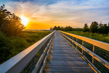 Bridge to Sky