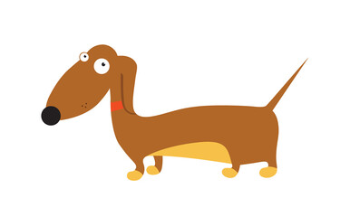 Dachshund. Vector illustration. Dog icon in cartoon style.