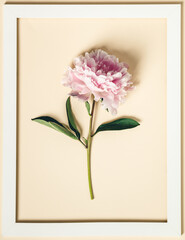 Flat-lay of Beautiful peony flower and white wooden frame over yellow background